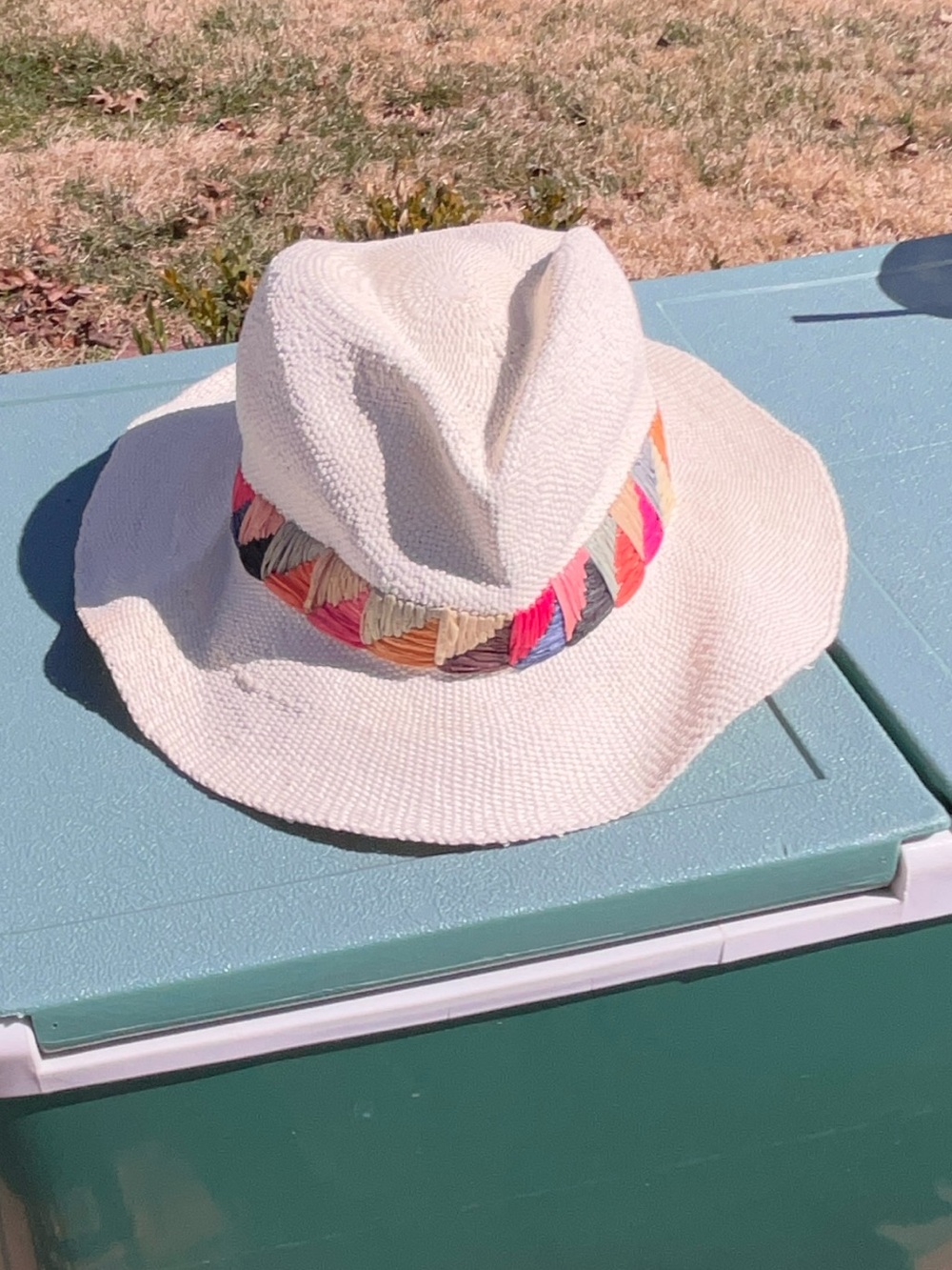 Anthropologie Hat Attack Raffia Hat with Colorful Accent NWT